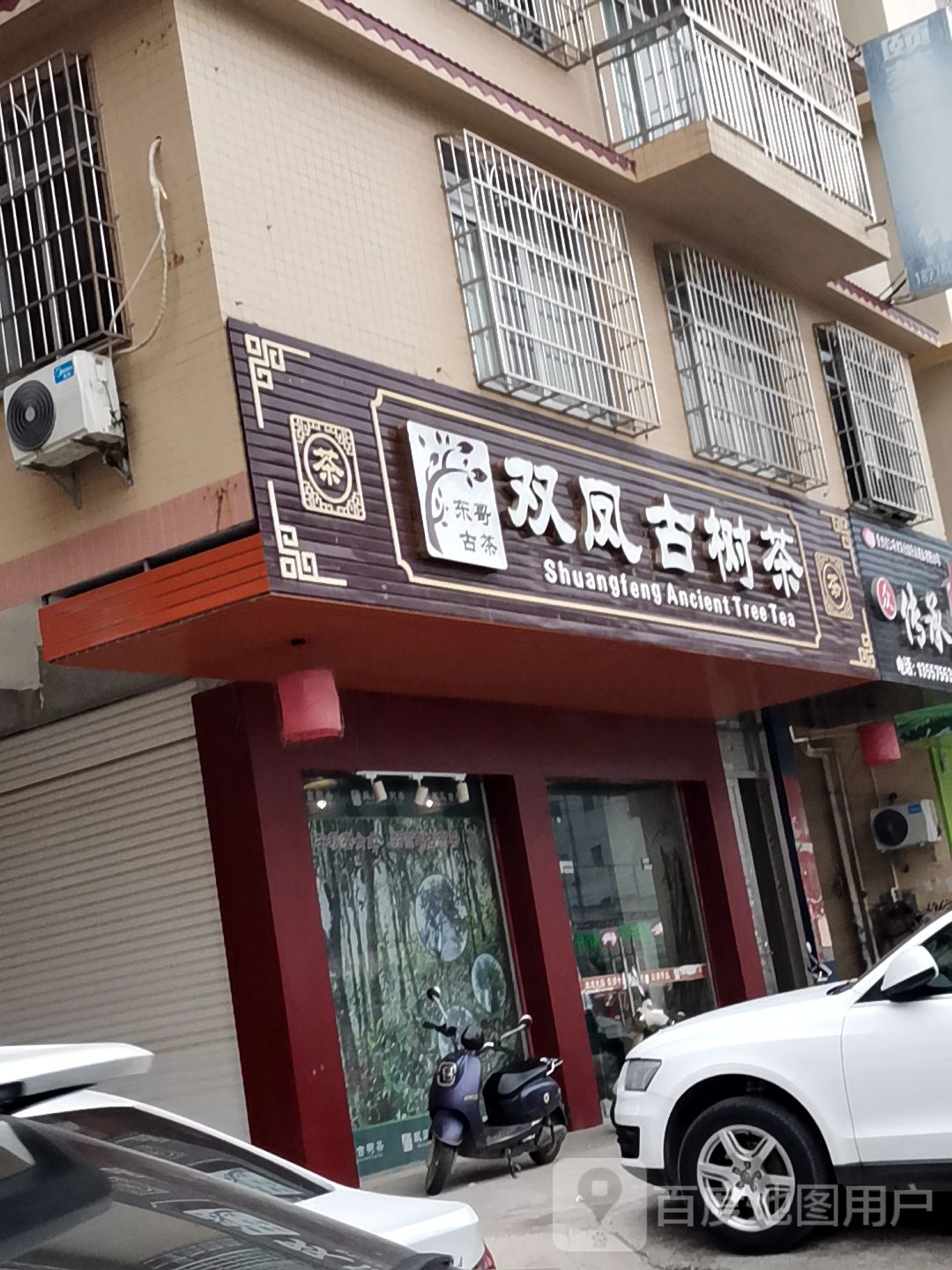 双凤古树茶