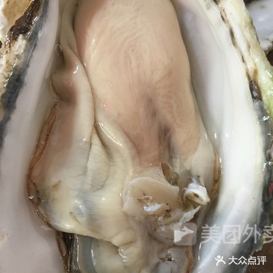 东北特烧烤(新泉北路店)