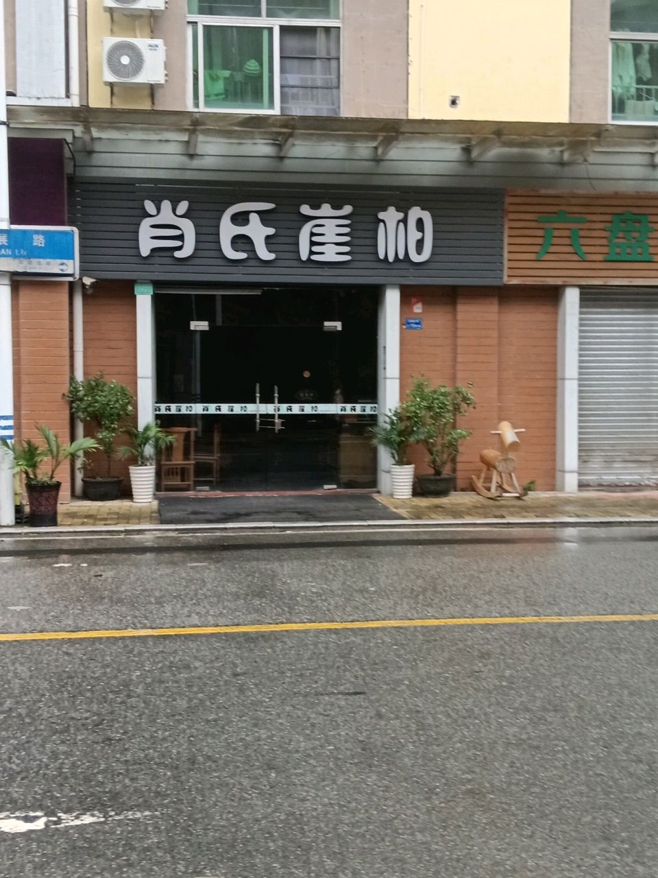 肖氏崖柏