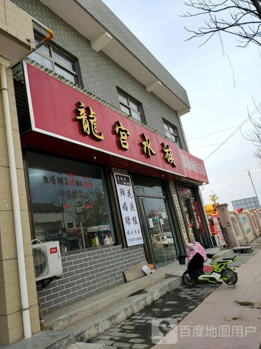 龙宫水族(沪霍线店)