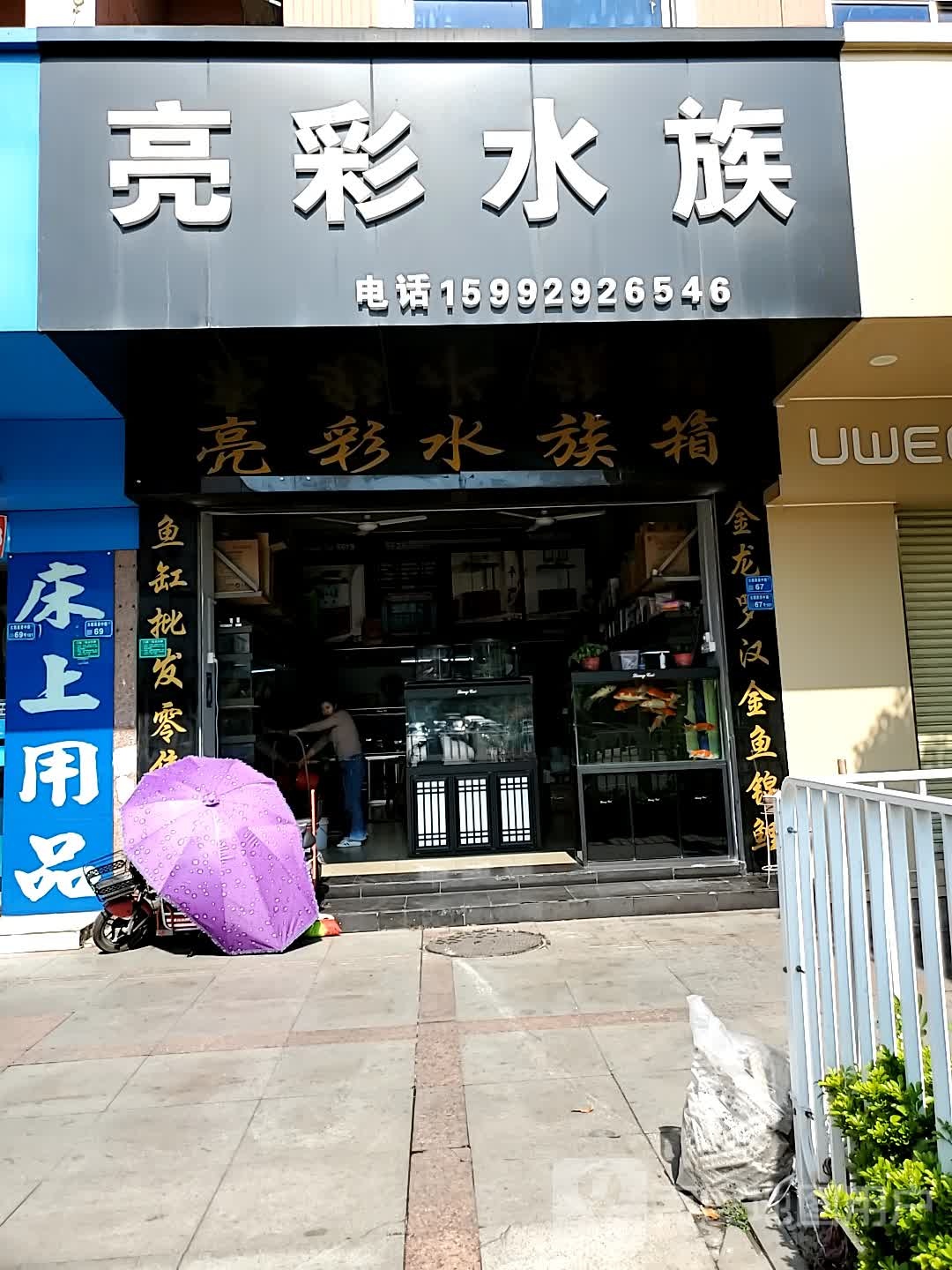 亮彩水族(大朗广场店)
