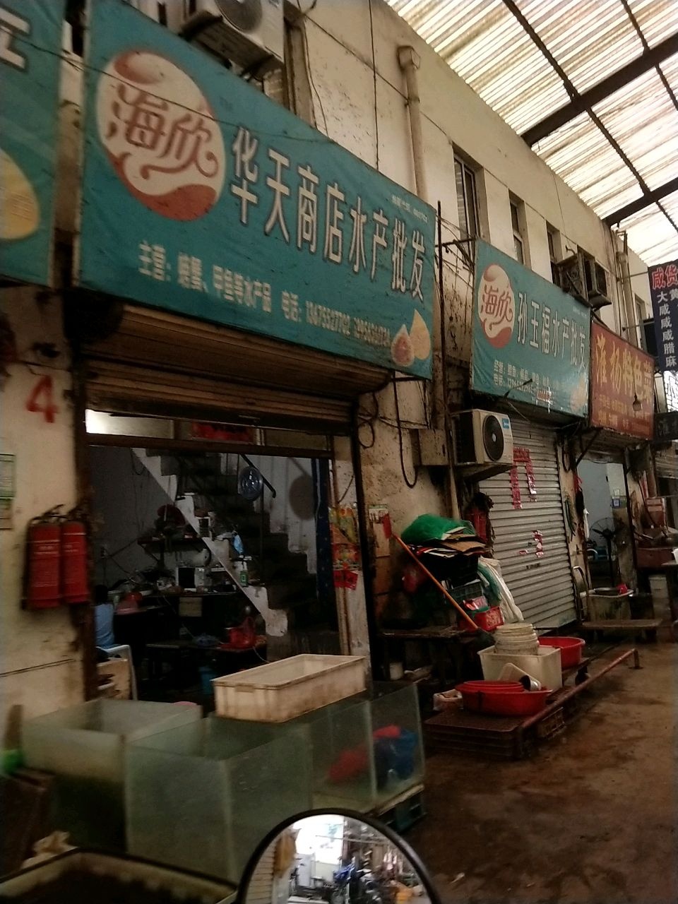 华天商店水产批发(凤阳东路店)
