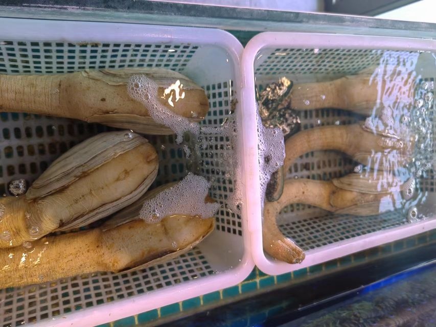 鹿先生的涮肉(千城店)