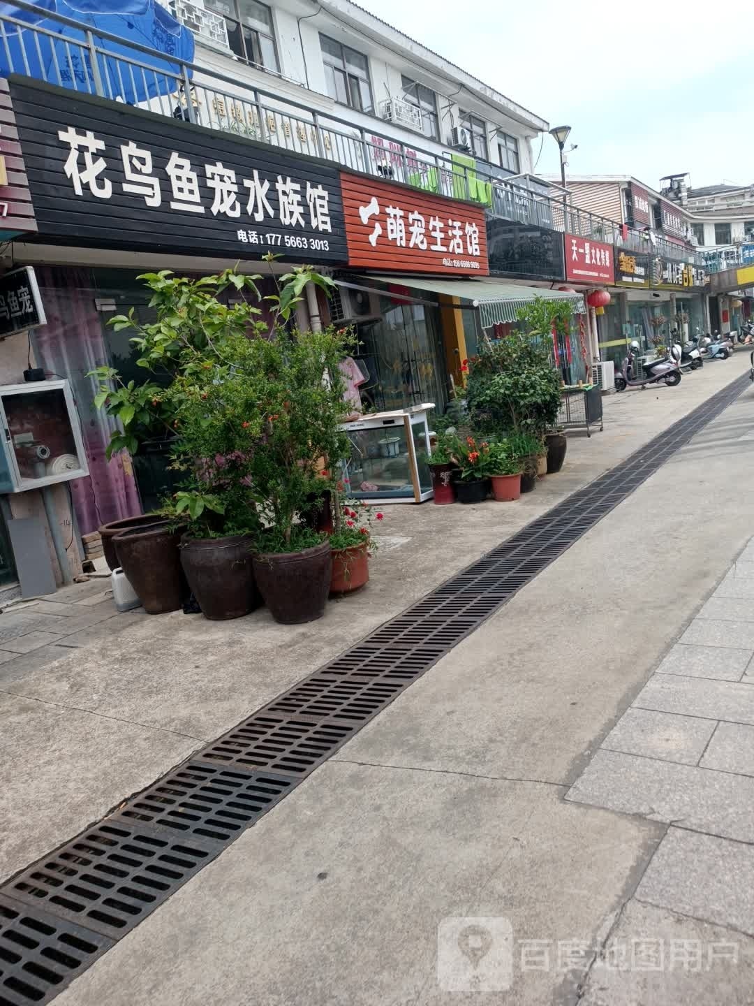 萌宠生活馆(东至商业步行街店)