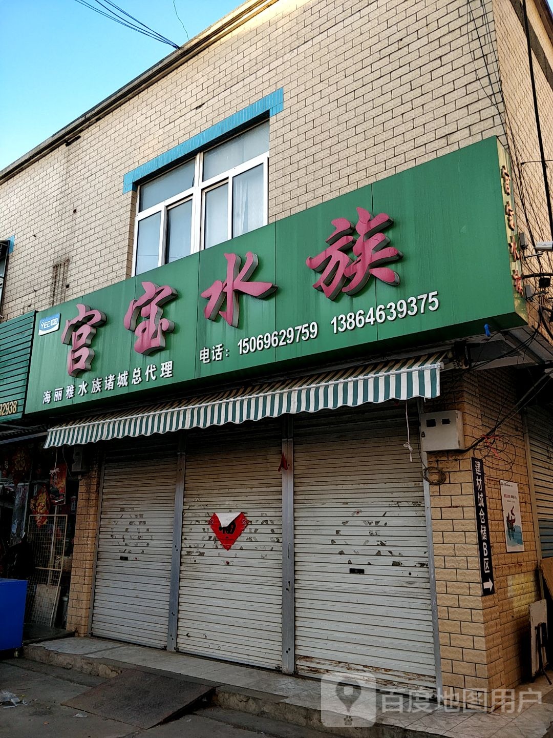 宫宝水族(诸城店)