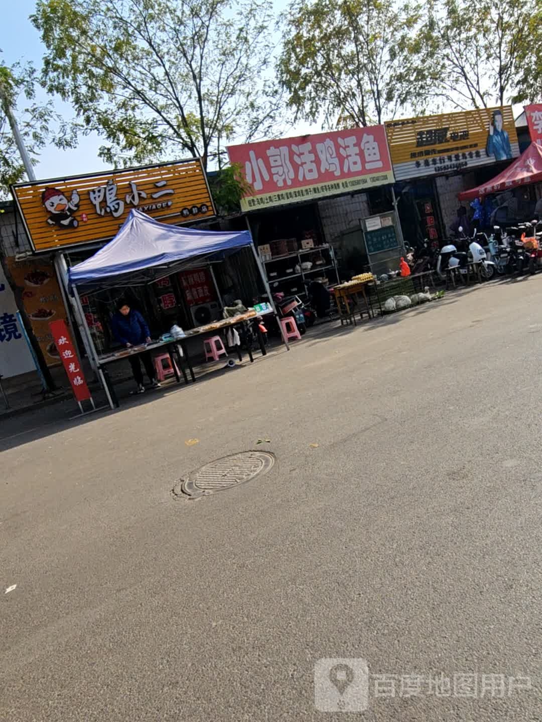 小郭活鸡活鱼