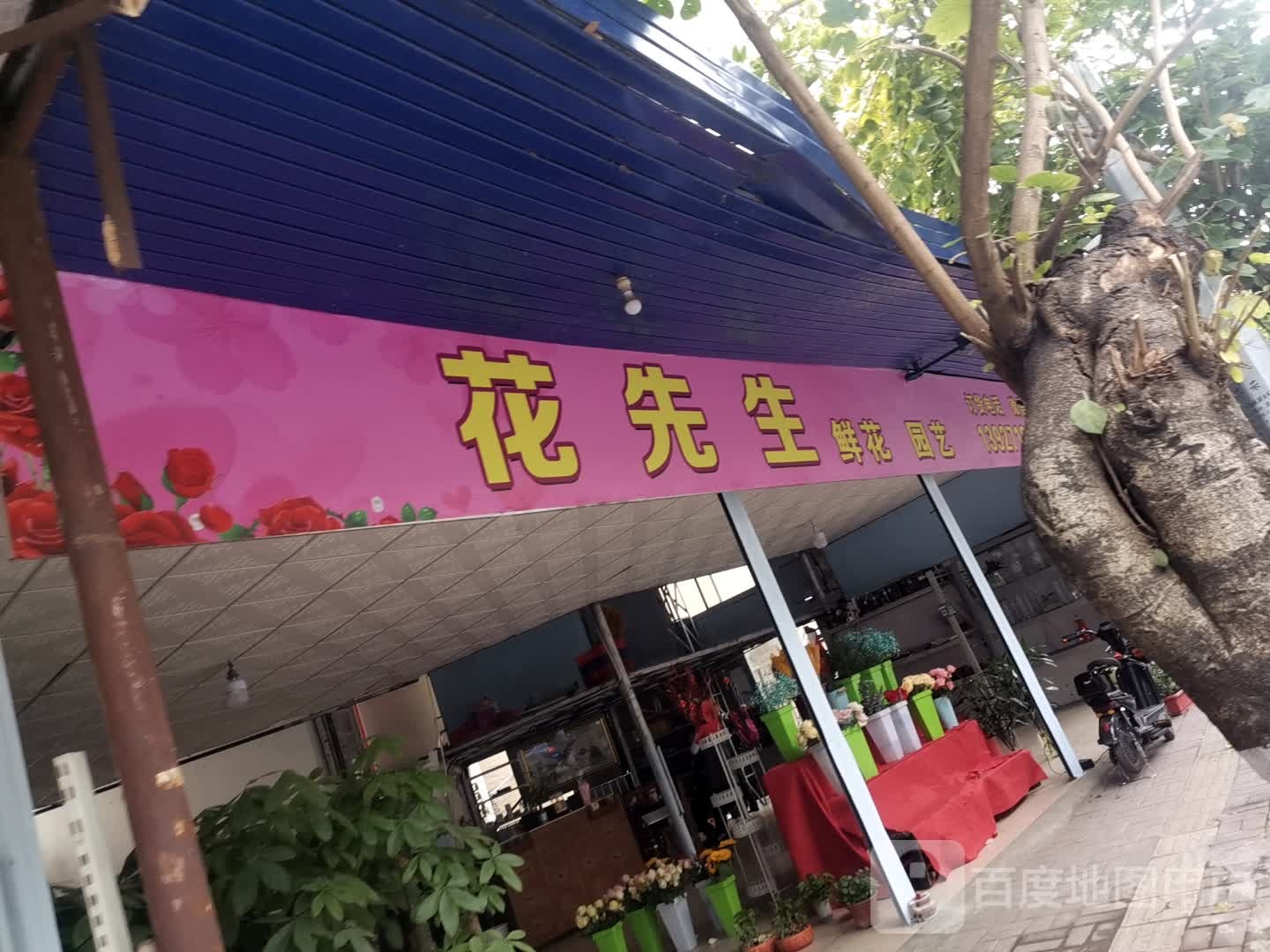花先生鲜花园艺