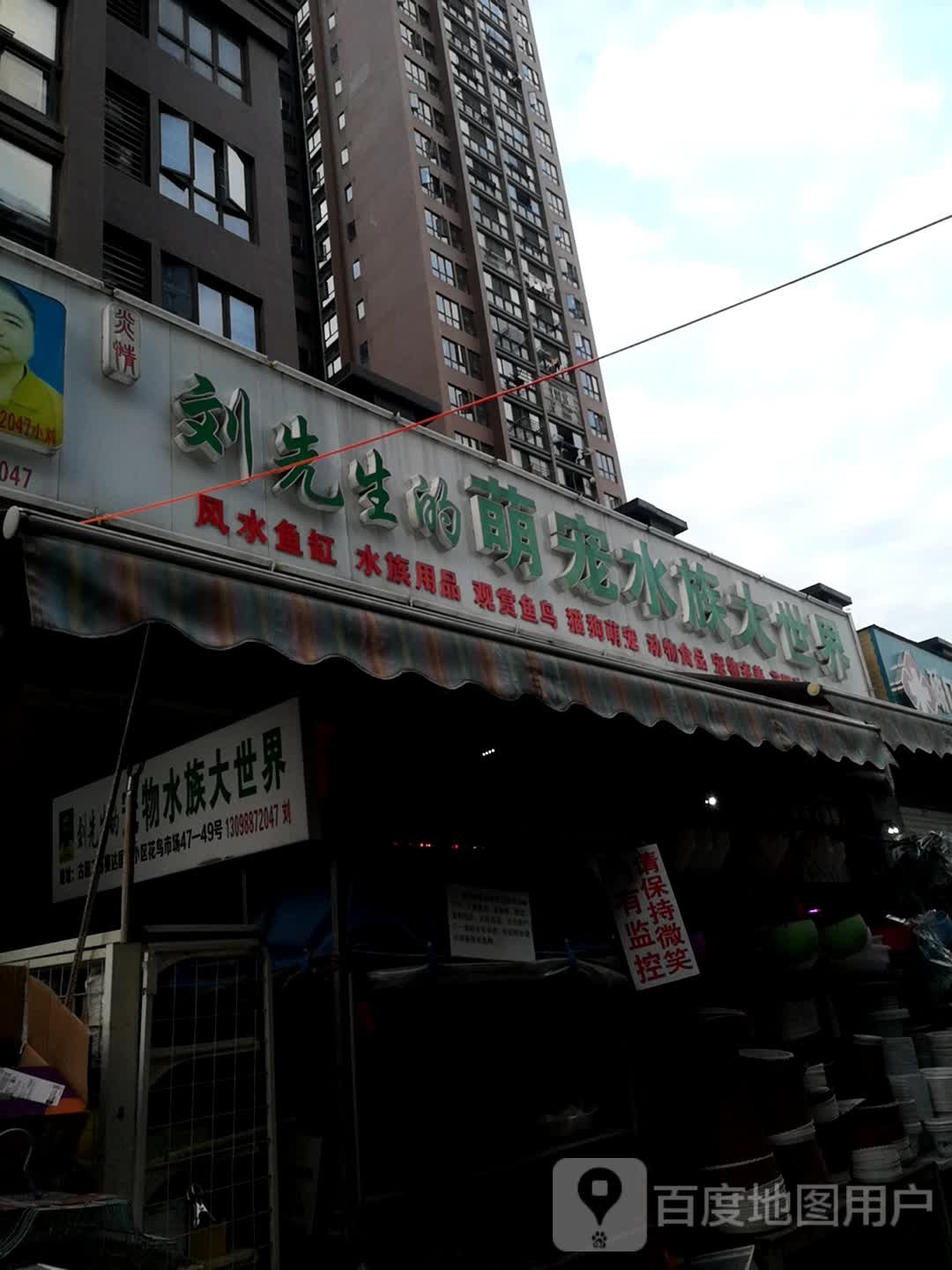 刘先生的萌宠水族大世界