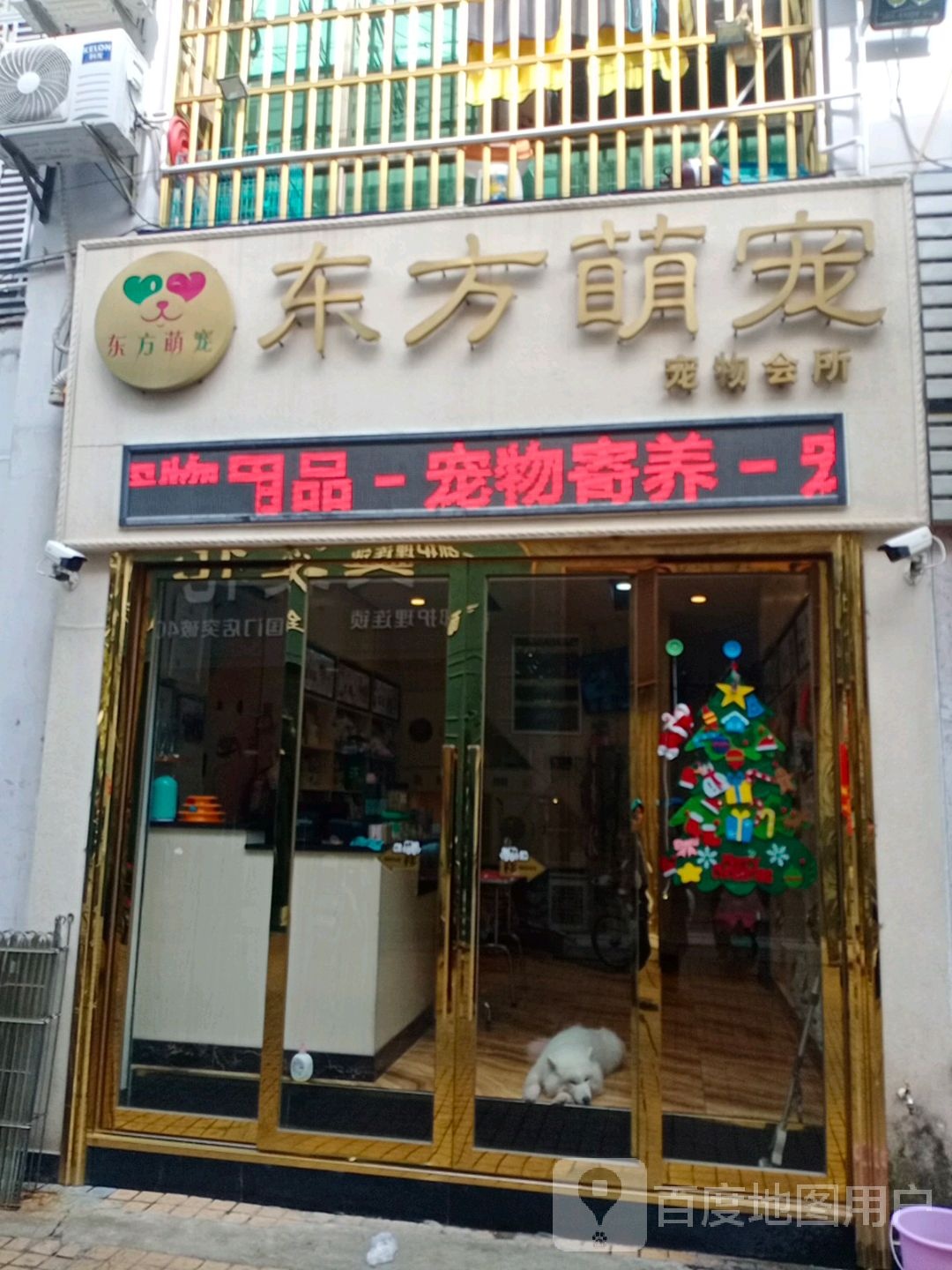 东方萌宠宠物(万福隆店)
