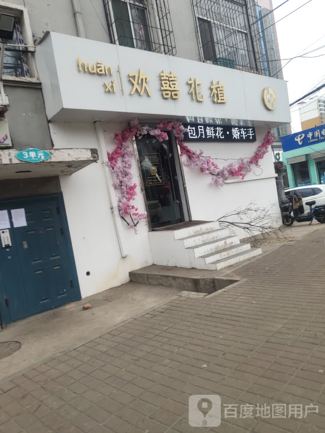欢喜花植