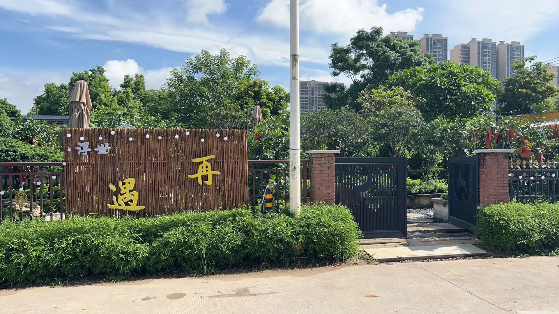 浮世再遇奶茶店