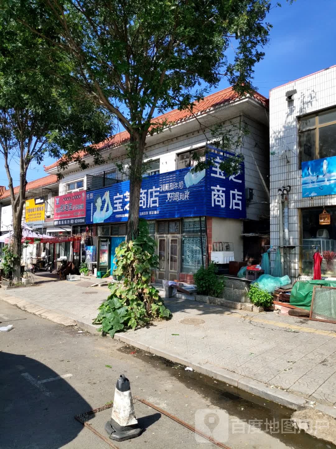 双赢冠连冠水洗鸽粮