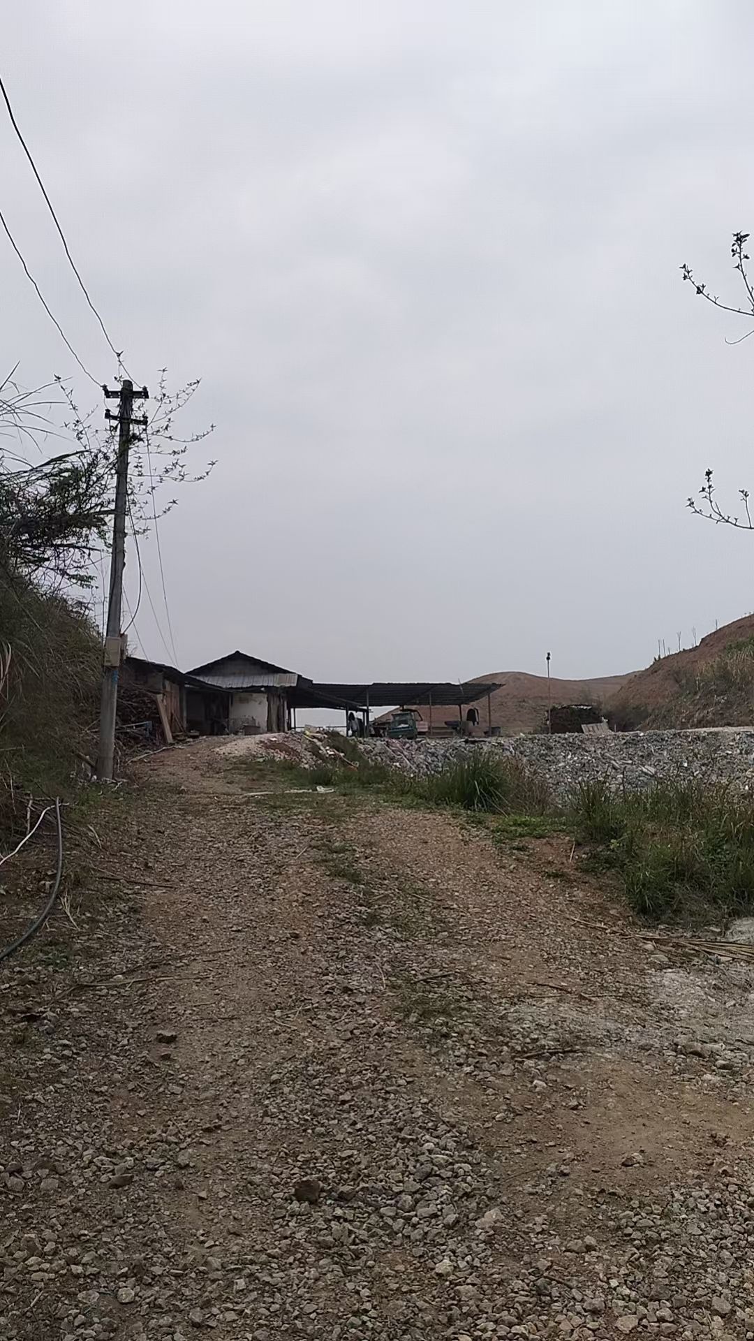 龙泉青鱼钓场