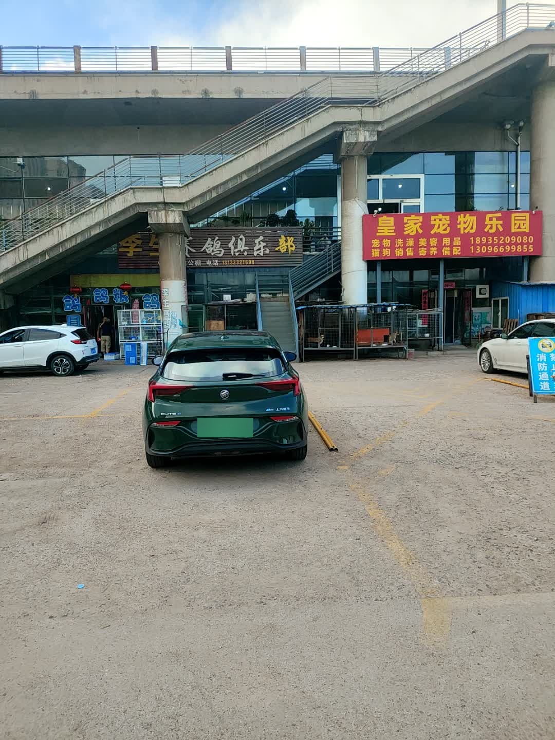 李生赛鸽俱乐部
