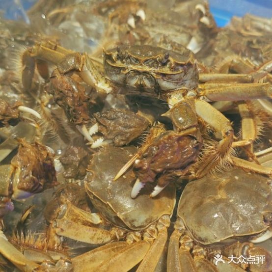 巨尚记精品自助火锅原切牛排·烧烤