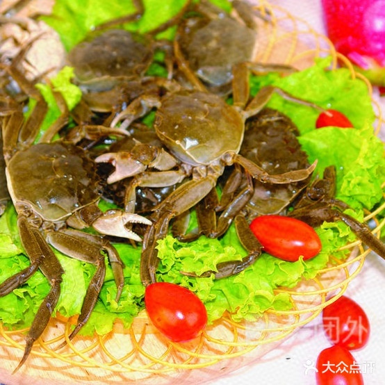 三毛谢煲(锦园店)