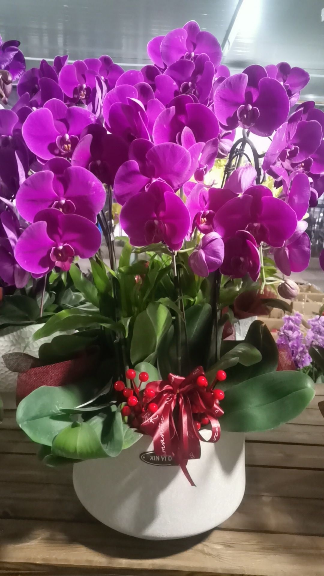金华花木之窗