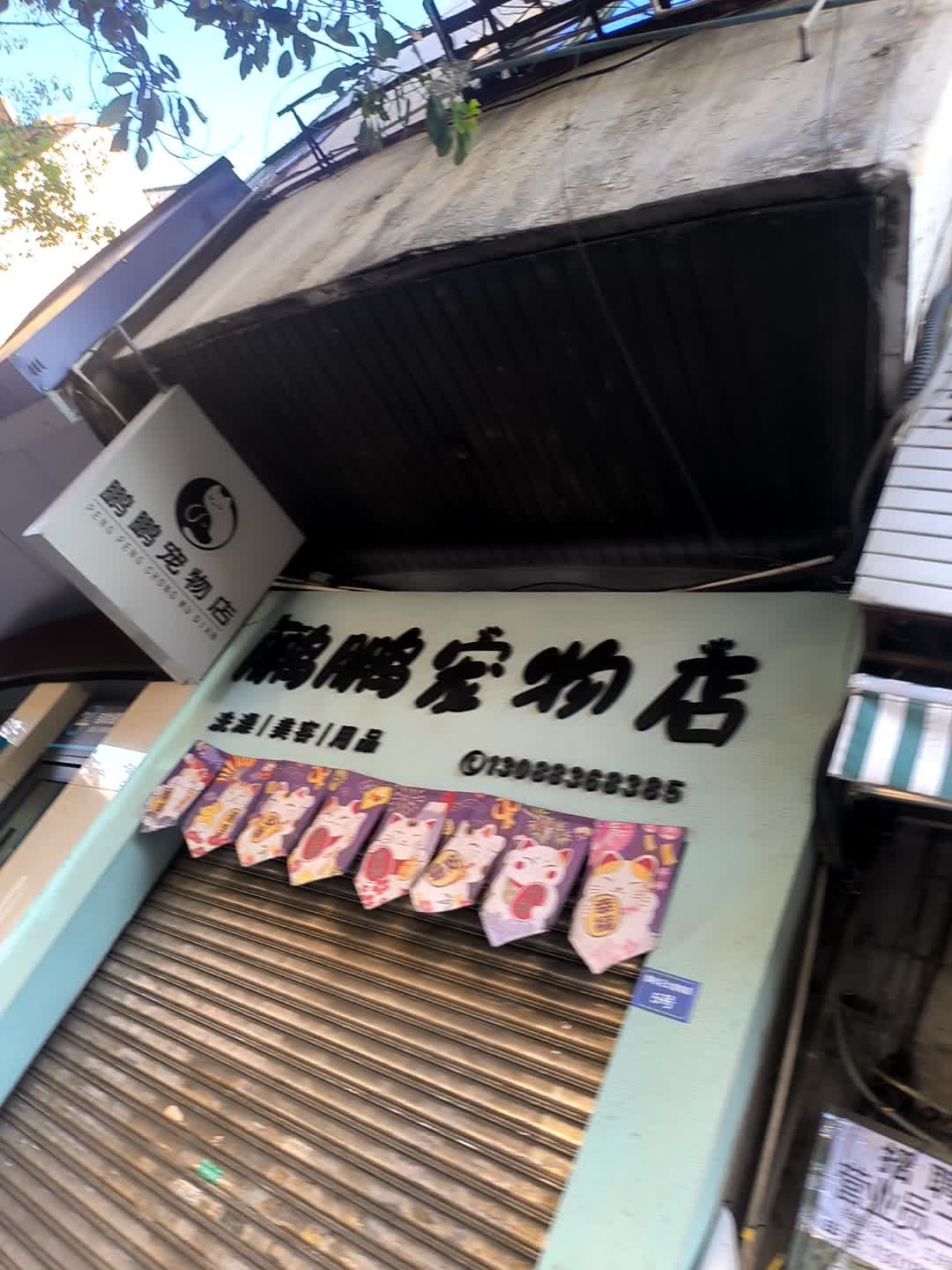 鹏鹏宠物店