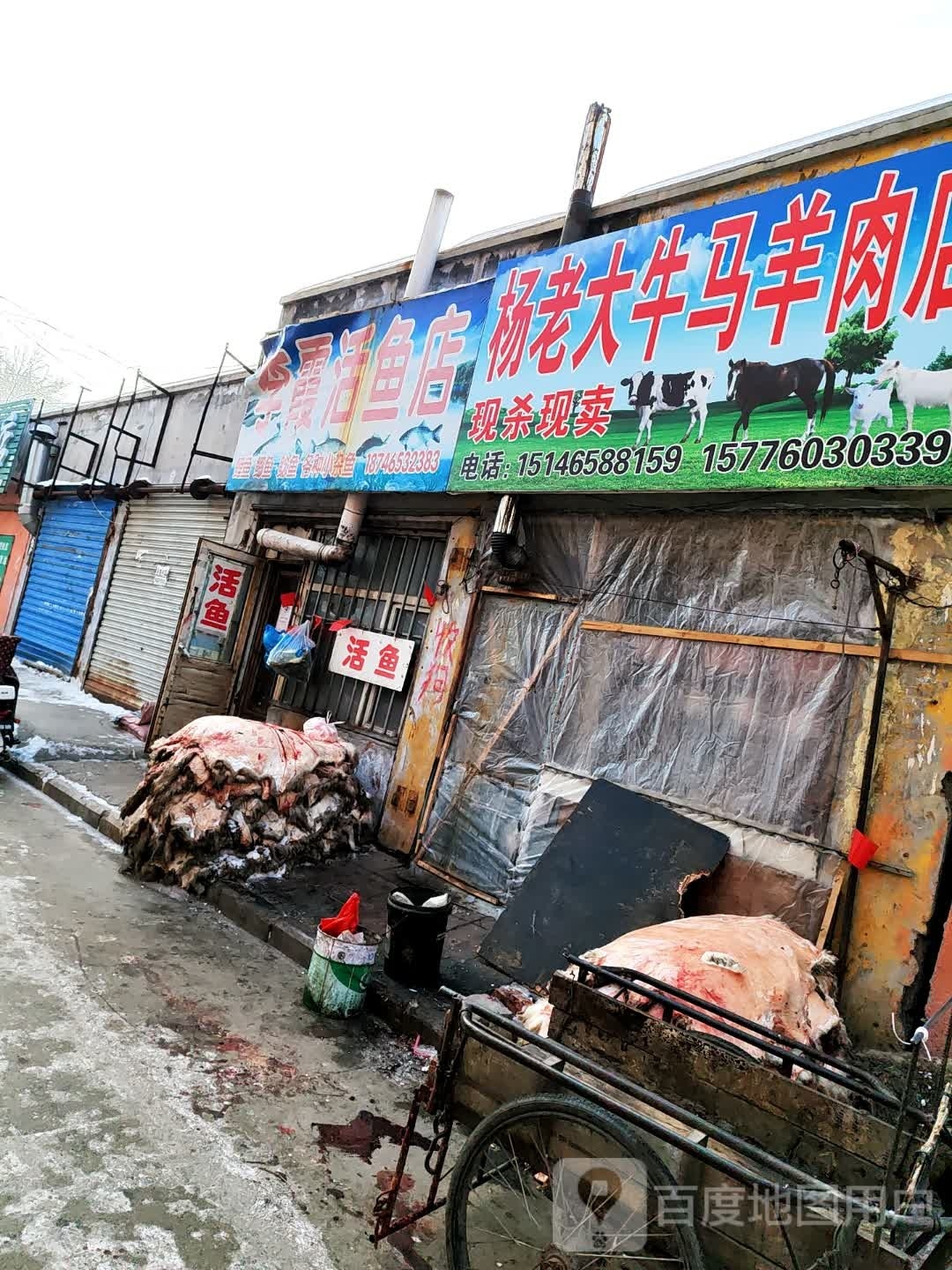 李霞活鱼店