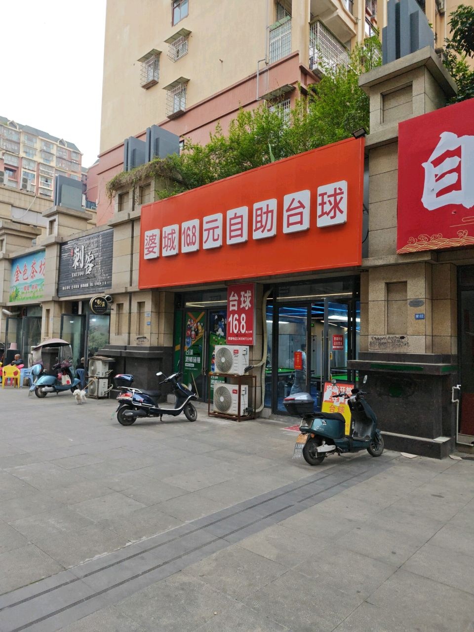 刺客独立设计艺术纹身