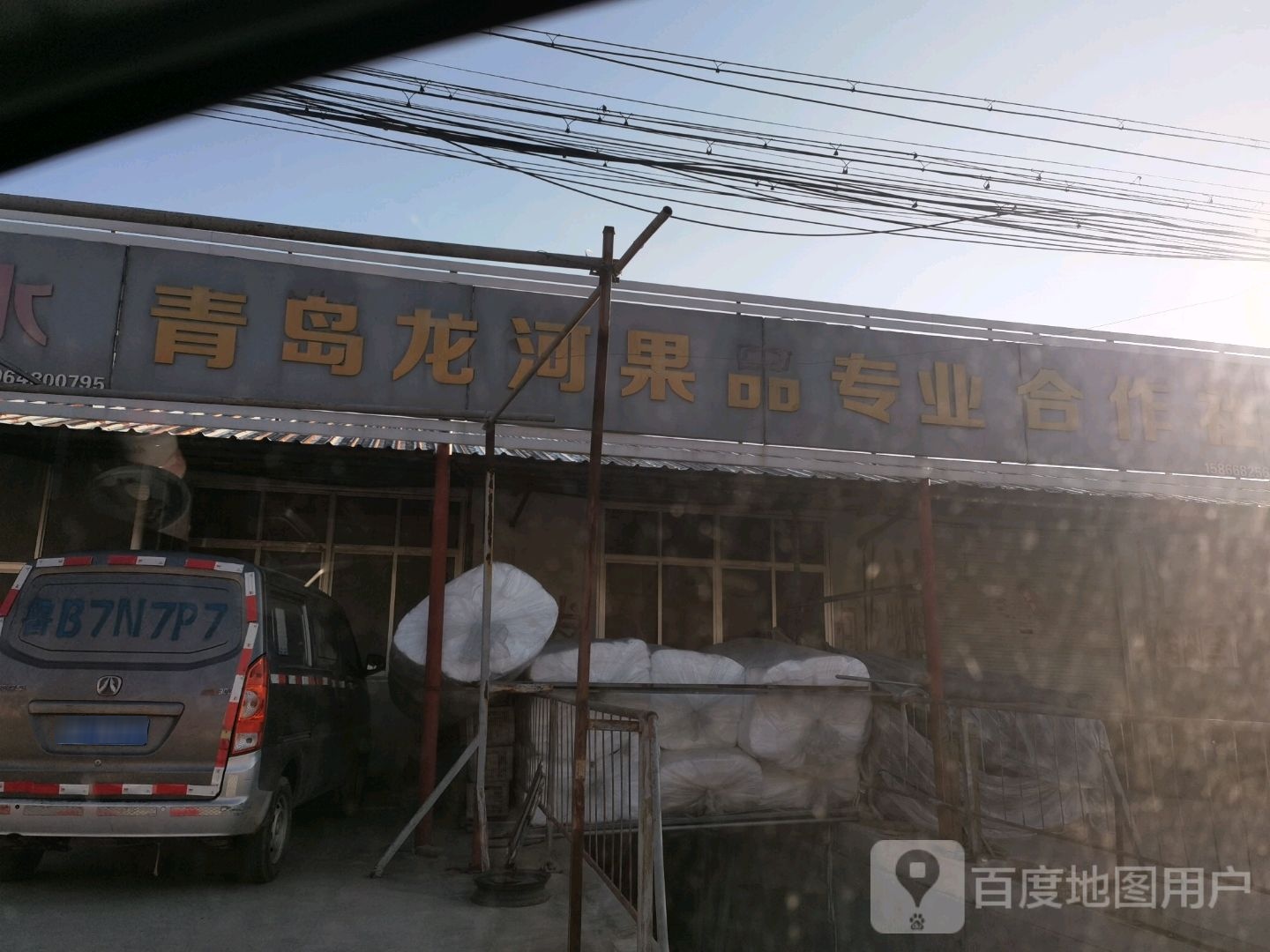 青岛隆河果