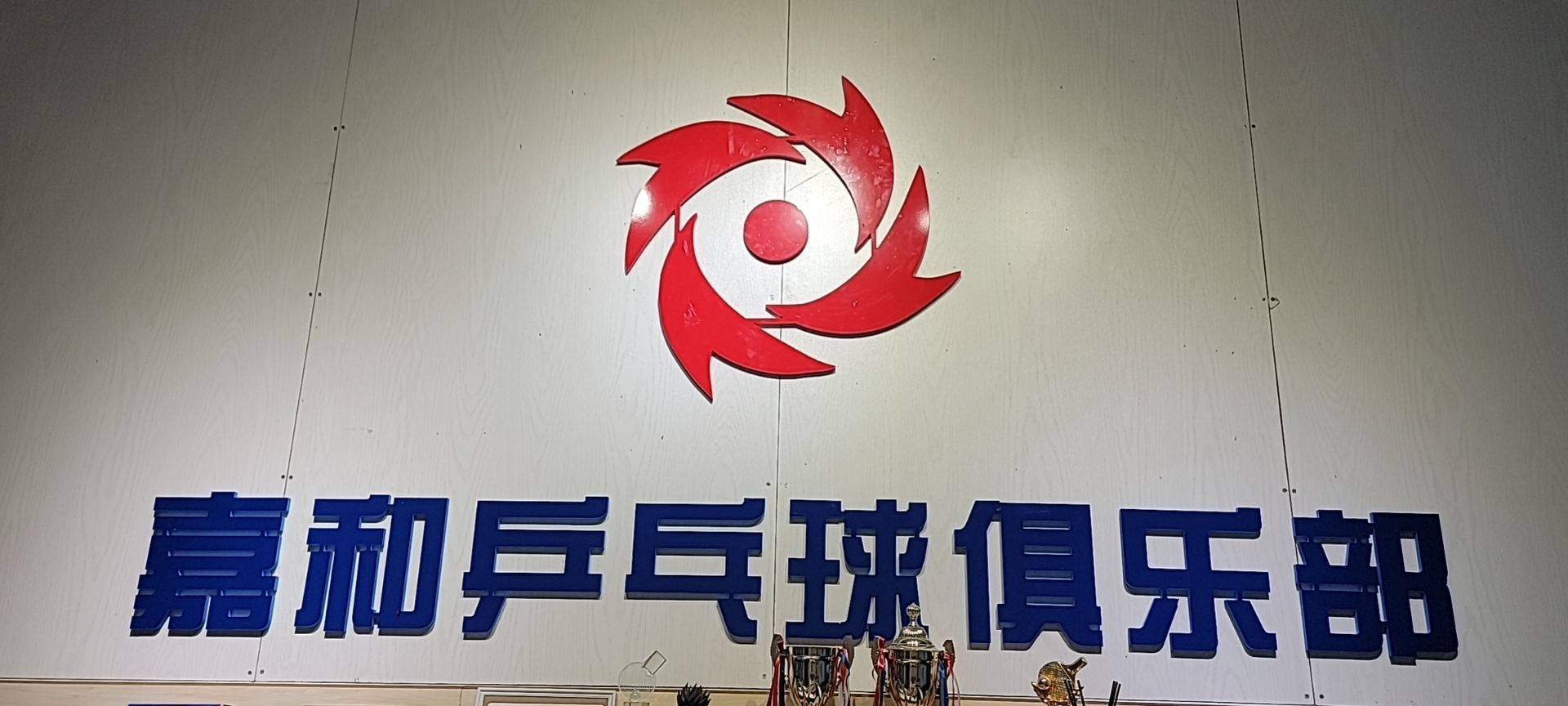 嘉和乒乓球训练基地