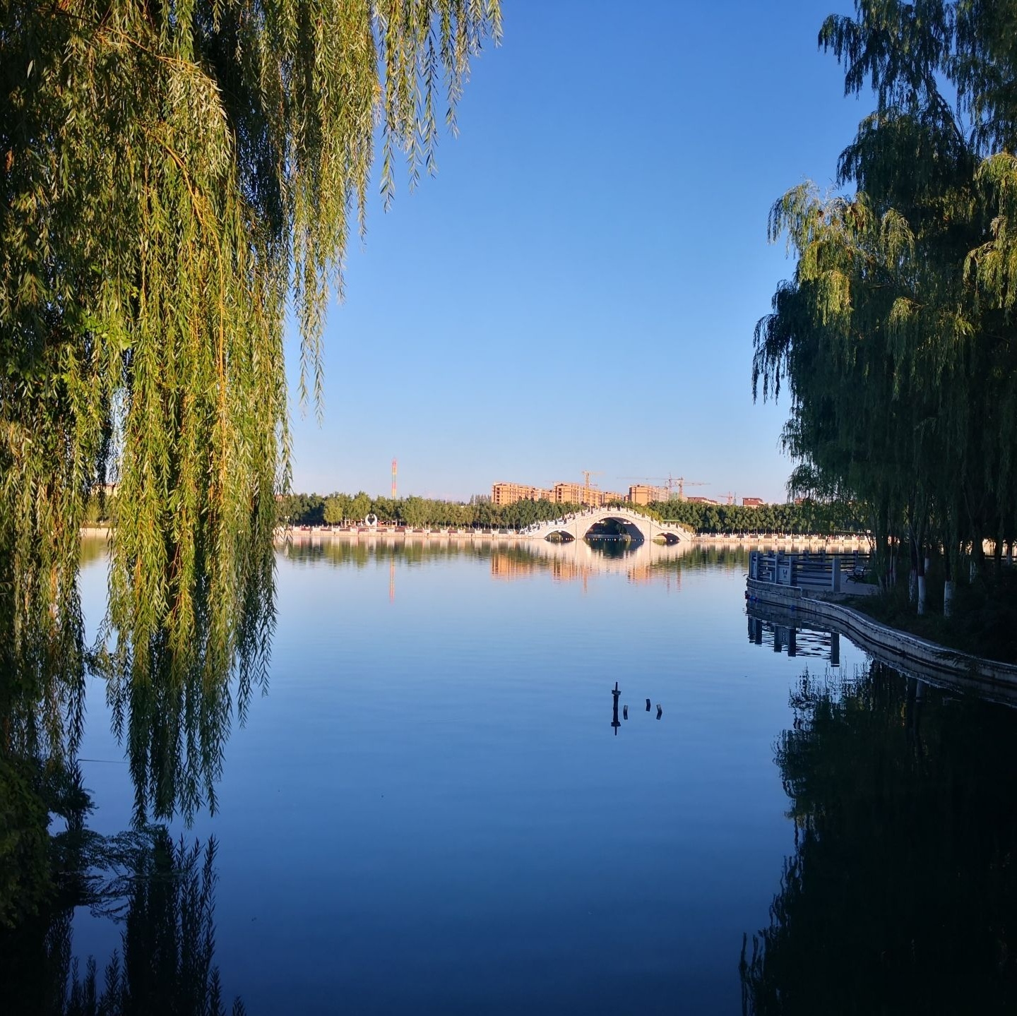 巩留县蝶湖景区