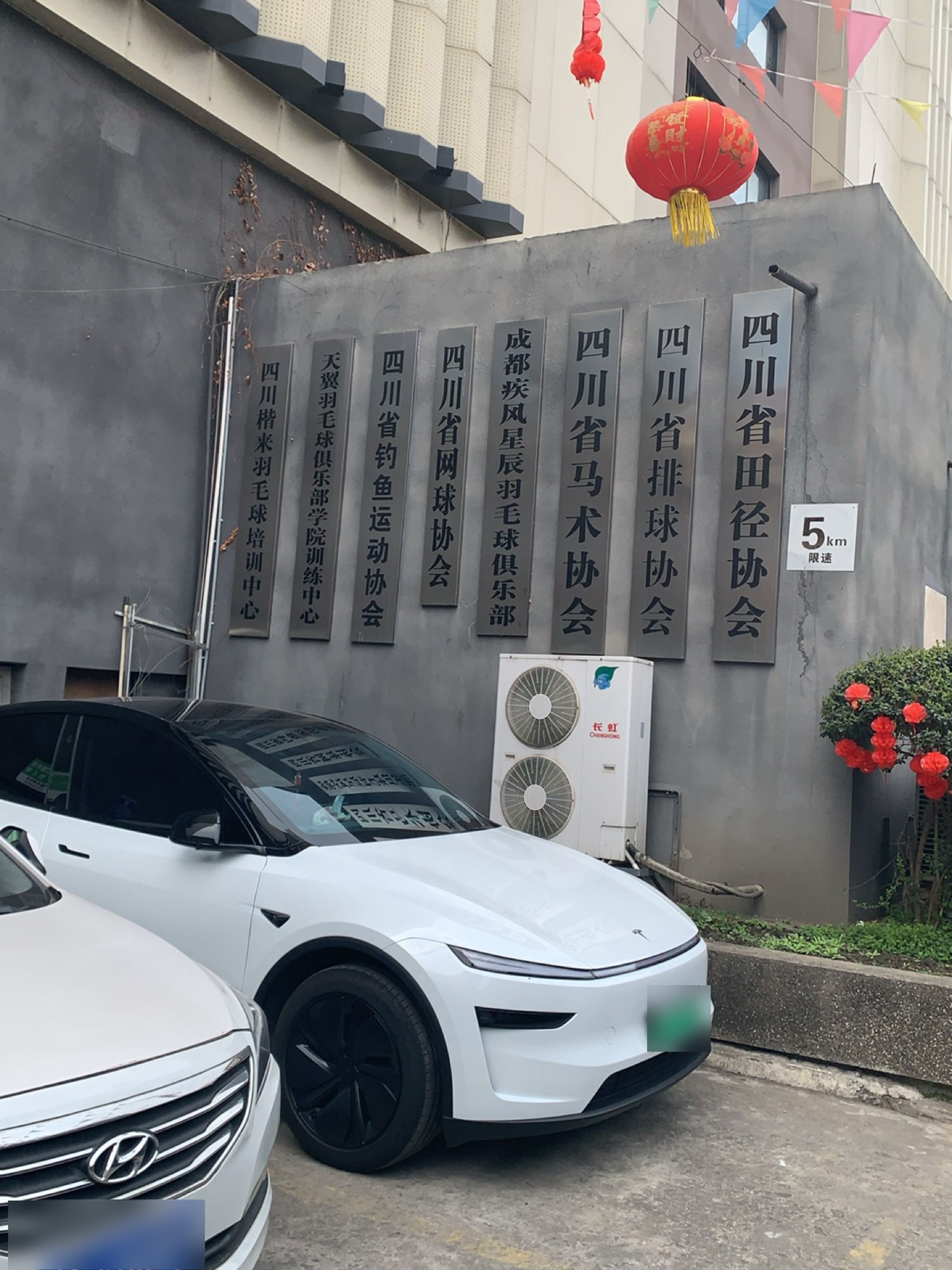 成都疾风星辰羽毛球俱乐部