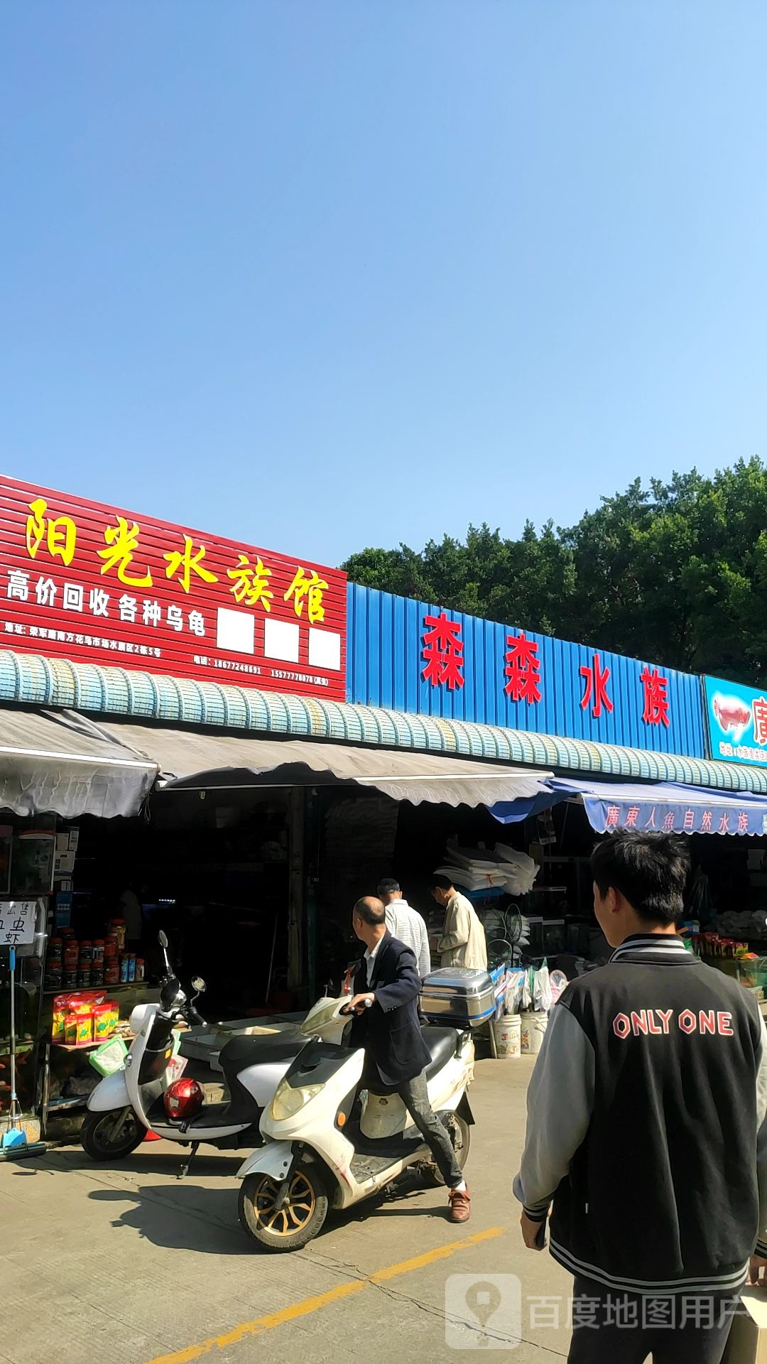 阳光水族馆(南方花鸟市场店)