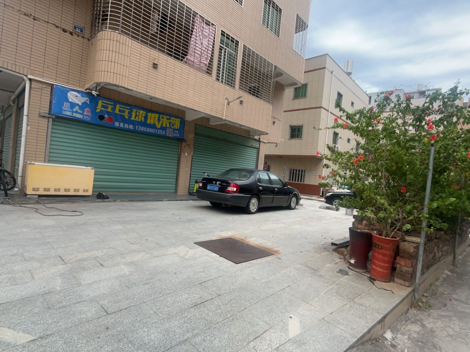 美人鱼乒乓球俱乐部