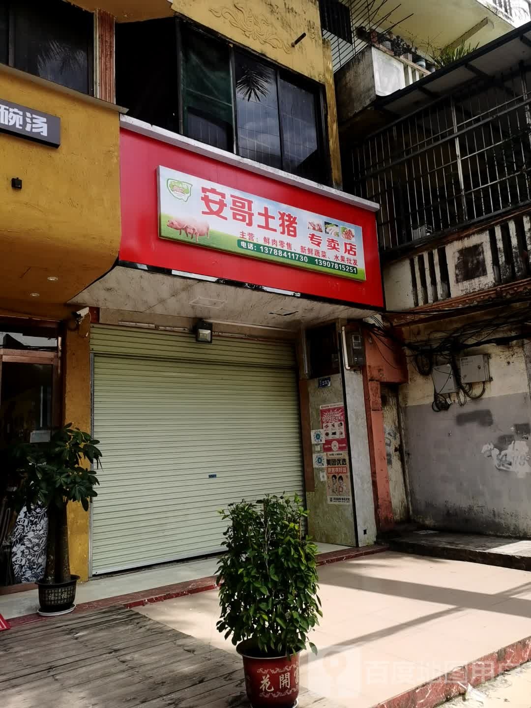 安哥土猪专卖店