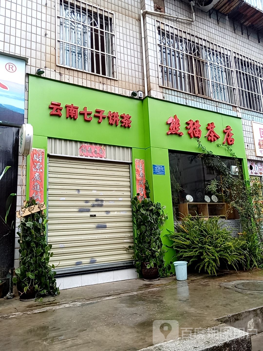 熊猫茶店