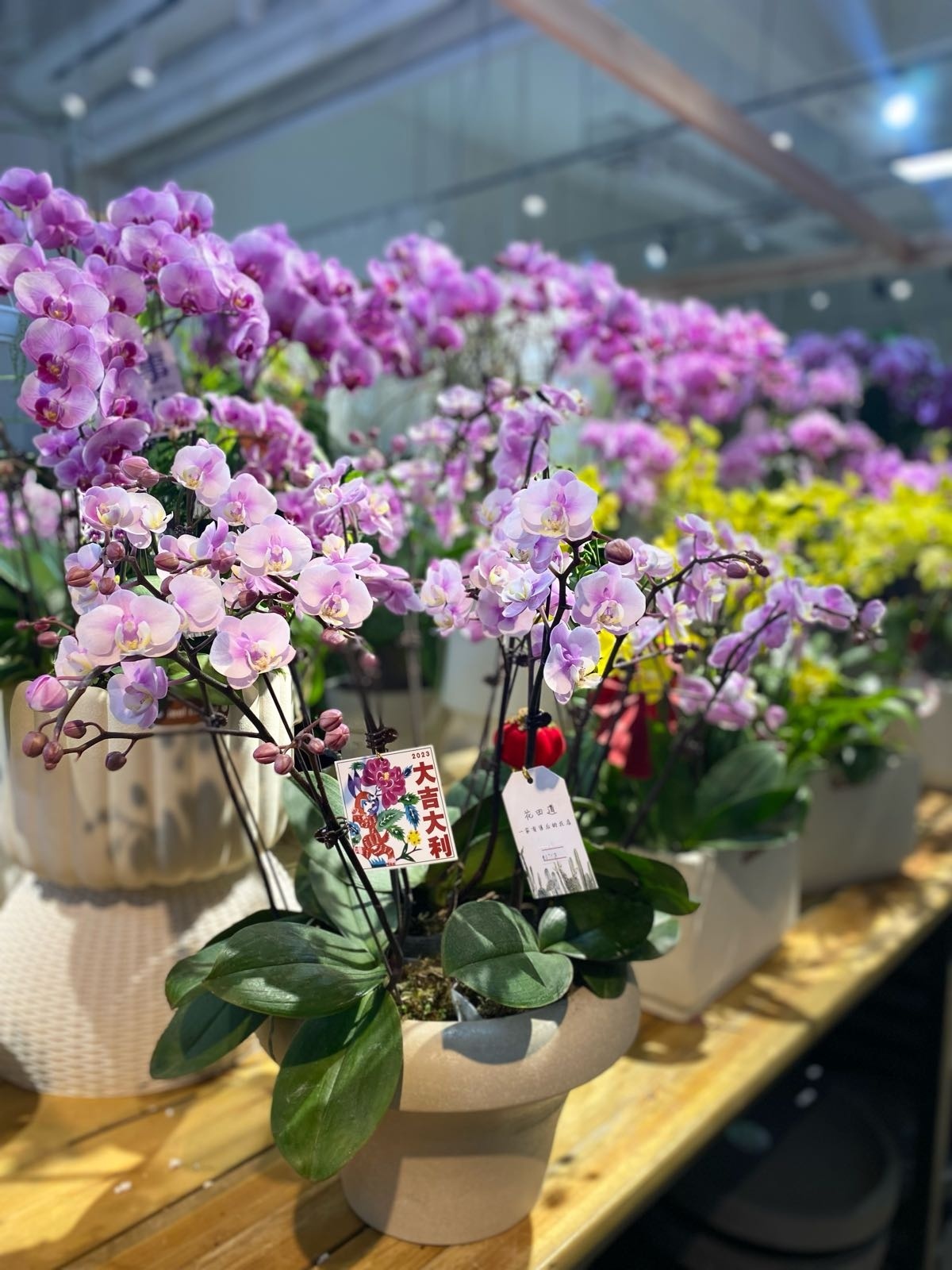 花田道植物美陈源艺