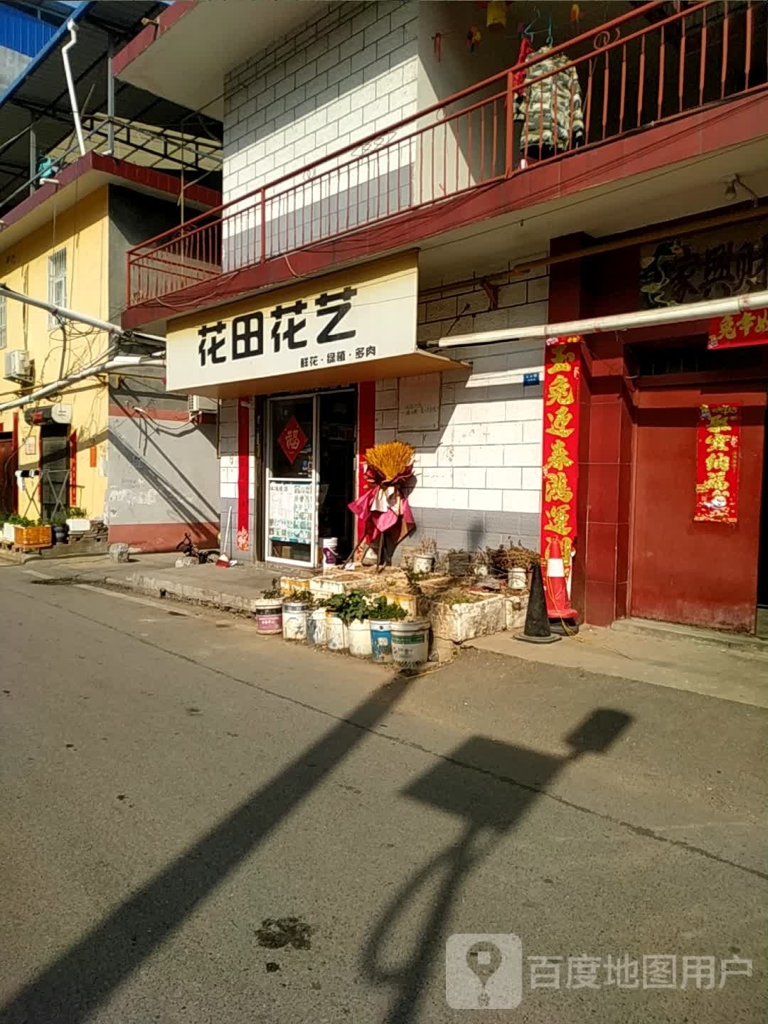 花田花艺鲜花绿植多肉