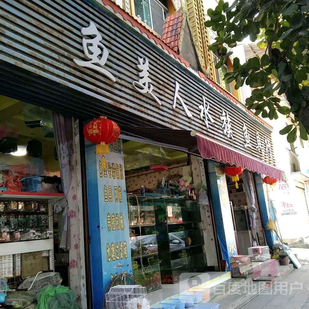 鱼美人水族鱼具