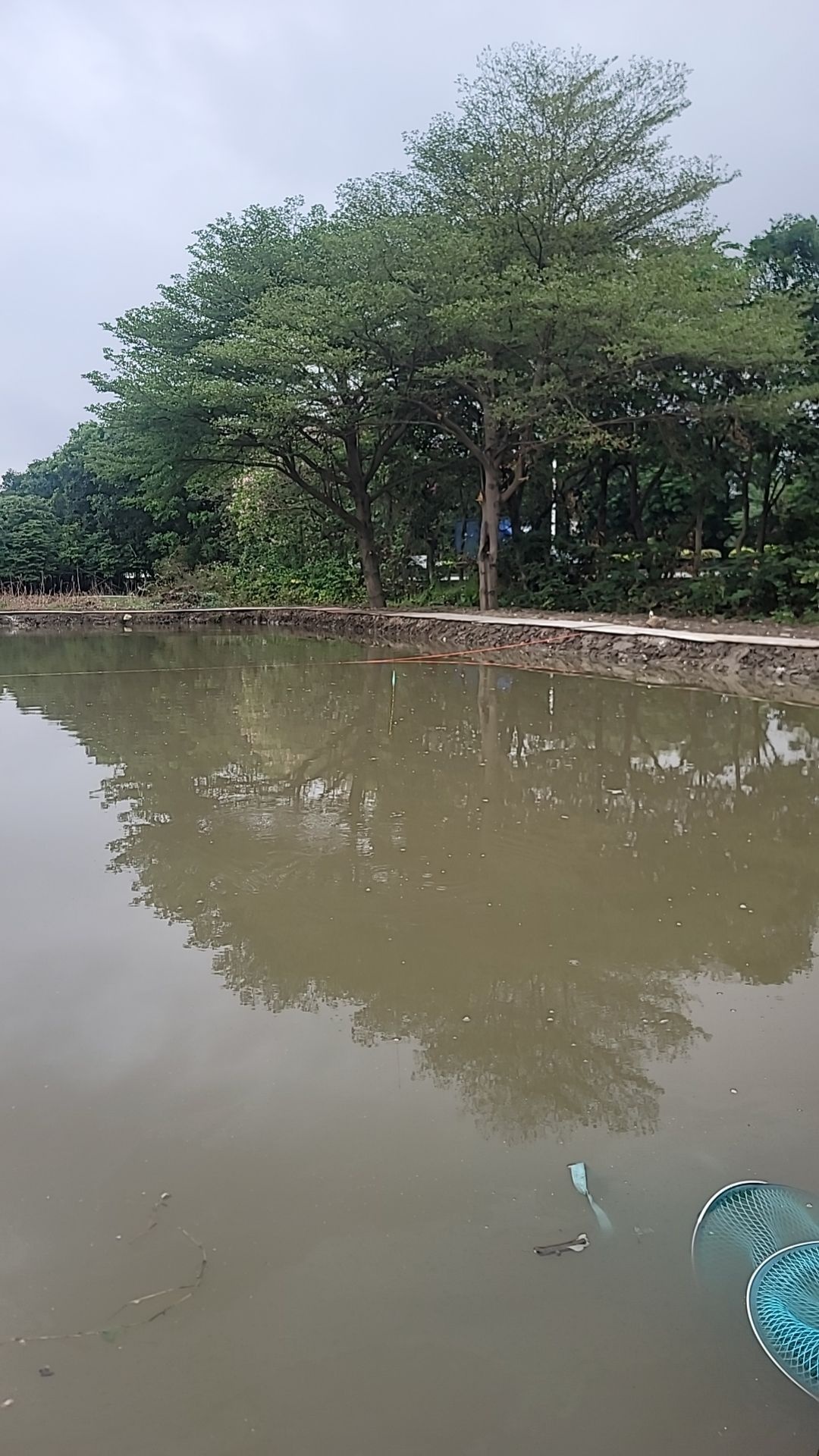 金盛钓鱼场