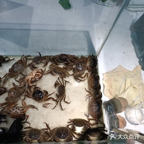 东海渔歌海鲜自助(远大时代购物中心店)