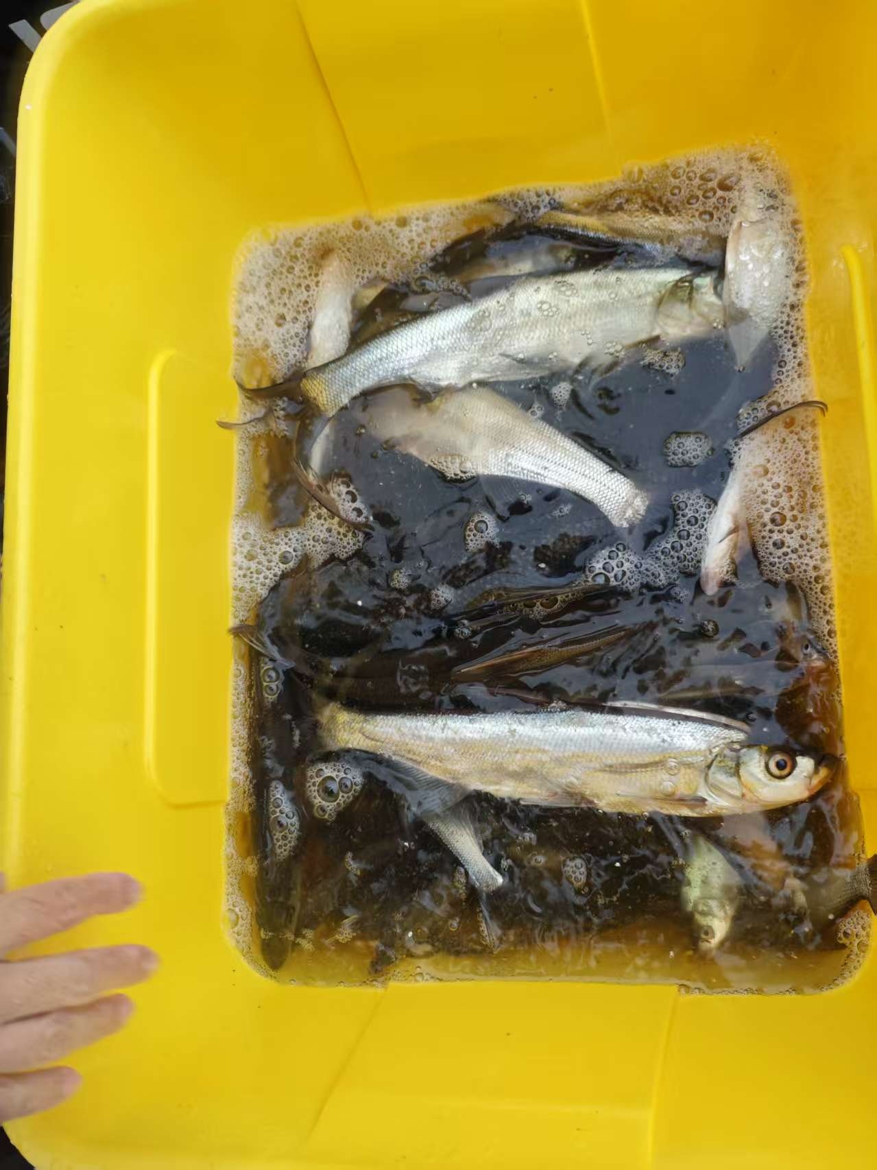 山里人家钓场