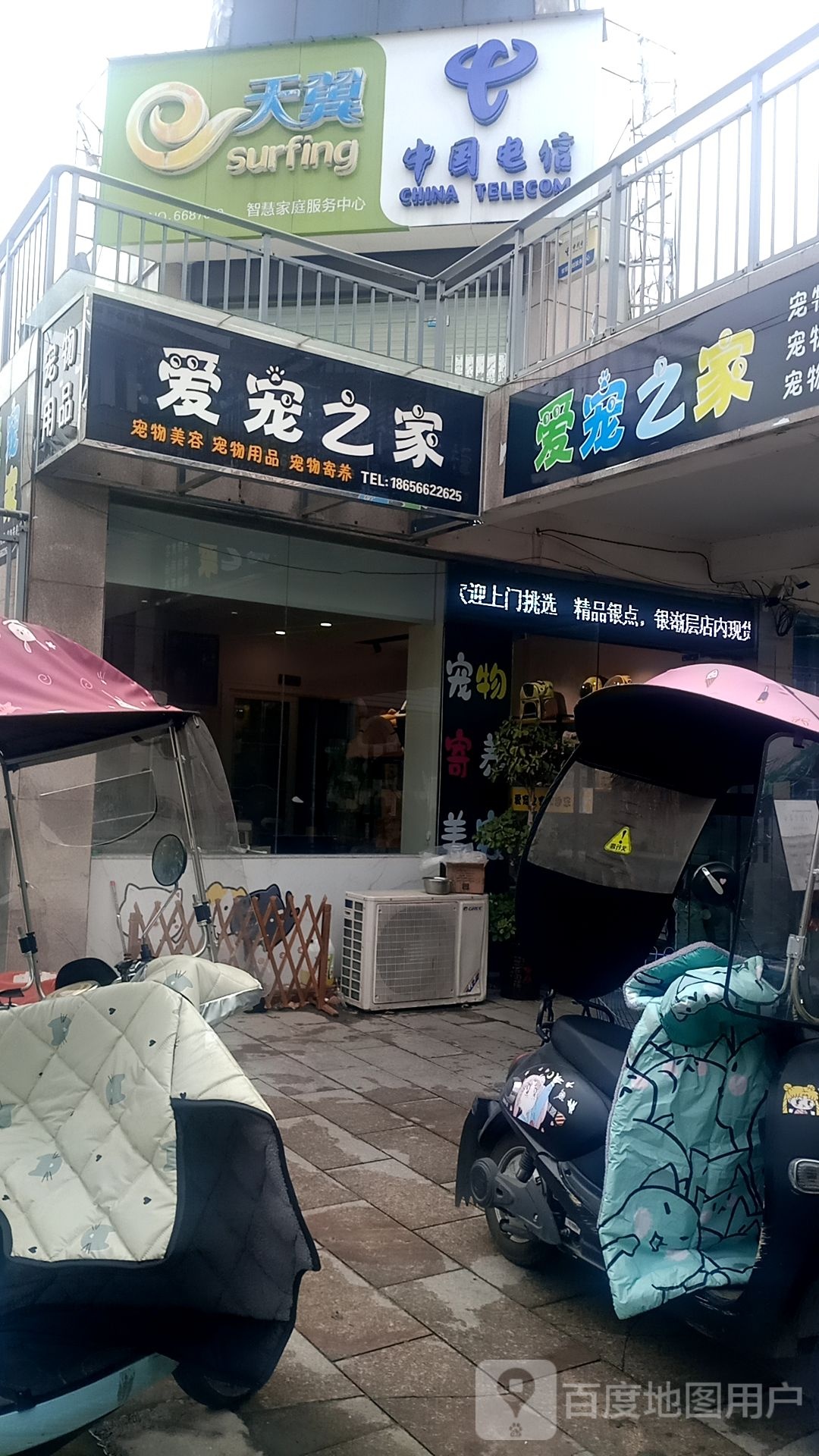 爱宠之家(至德路店)