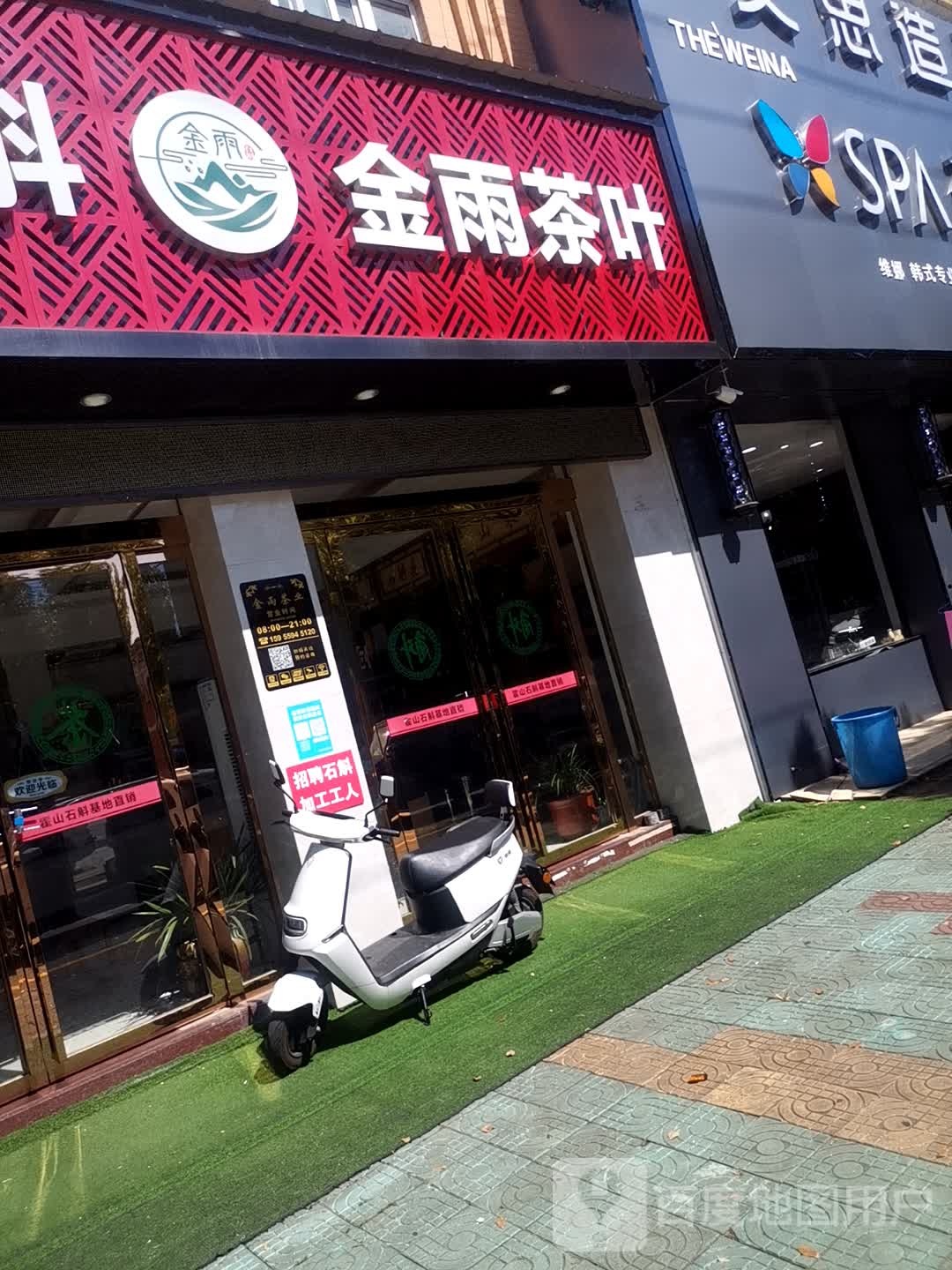 金雨茶叶