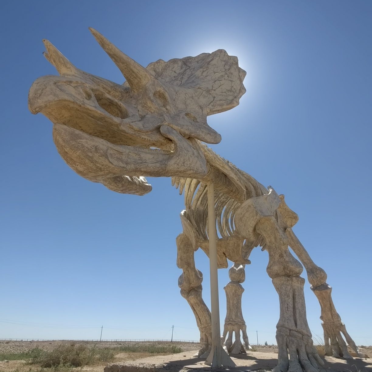 二连浩特国家地质公园