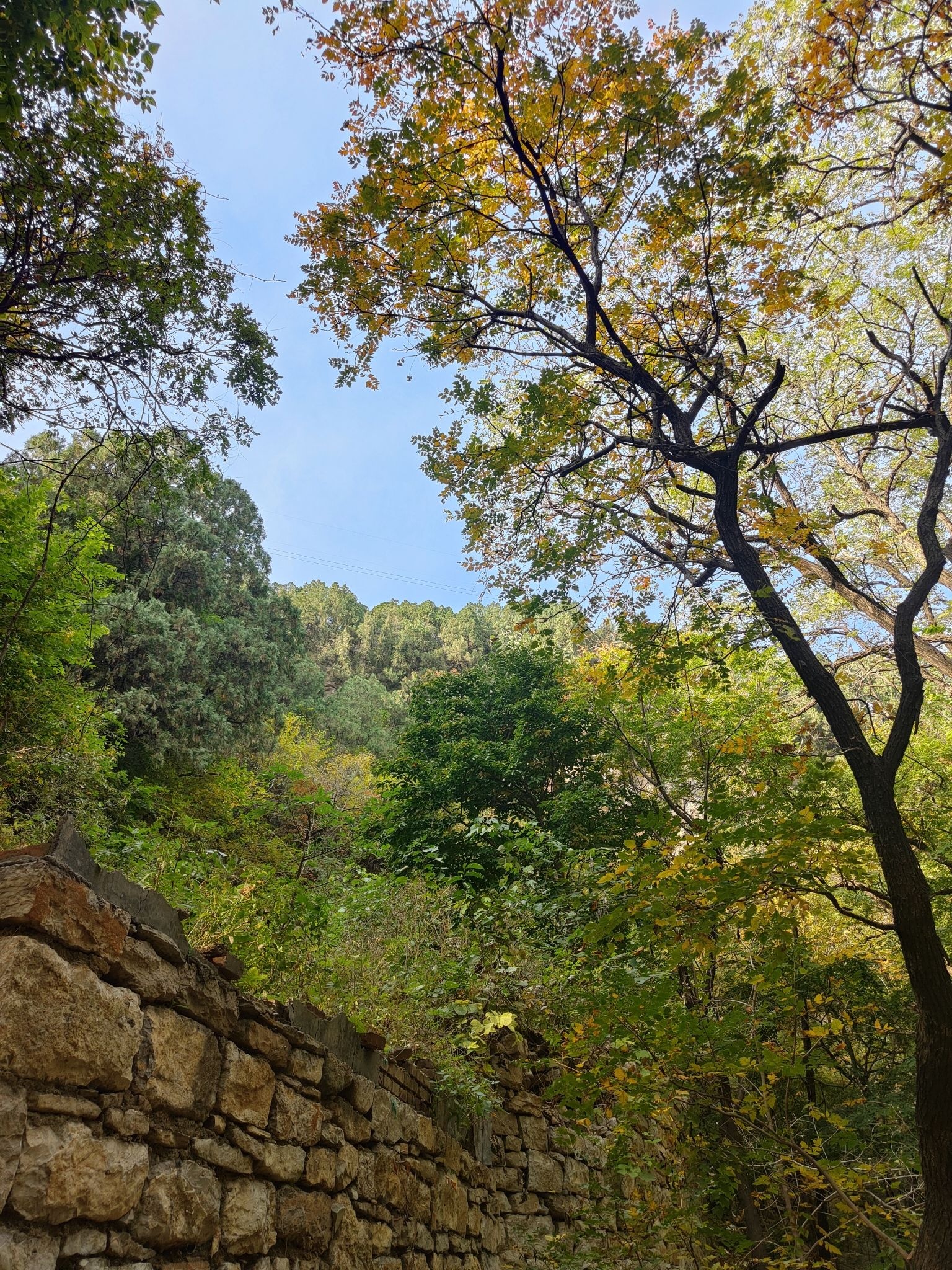 龙洞风景区-佛峪胜境