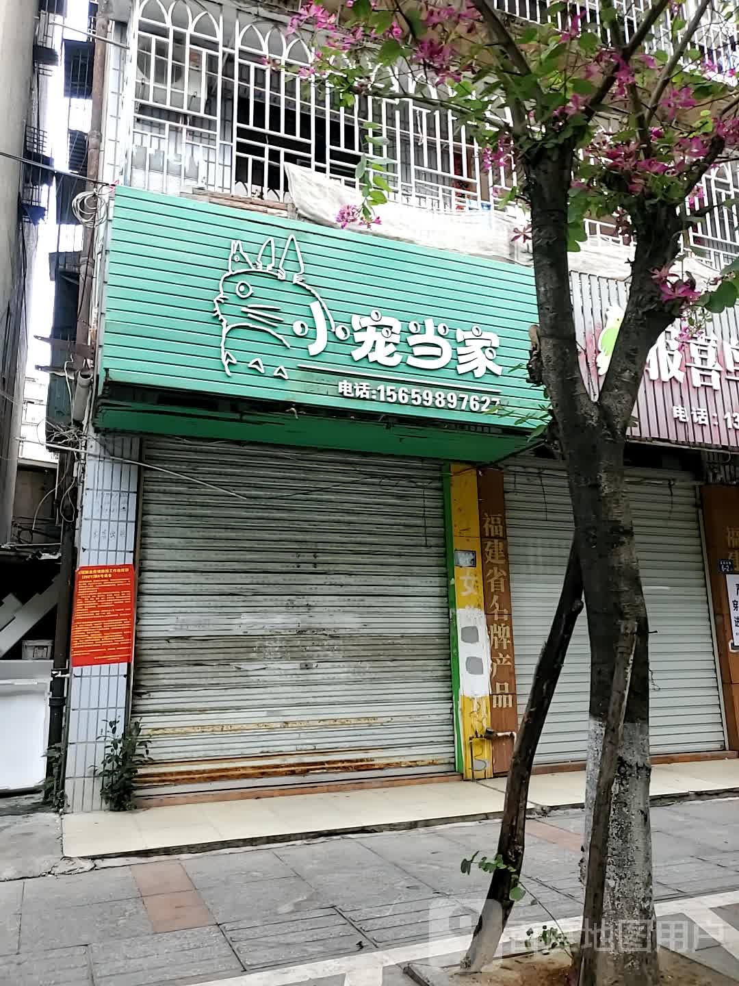 小宠当家(莲荷西路店)