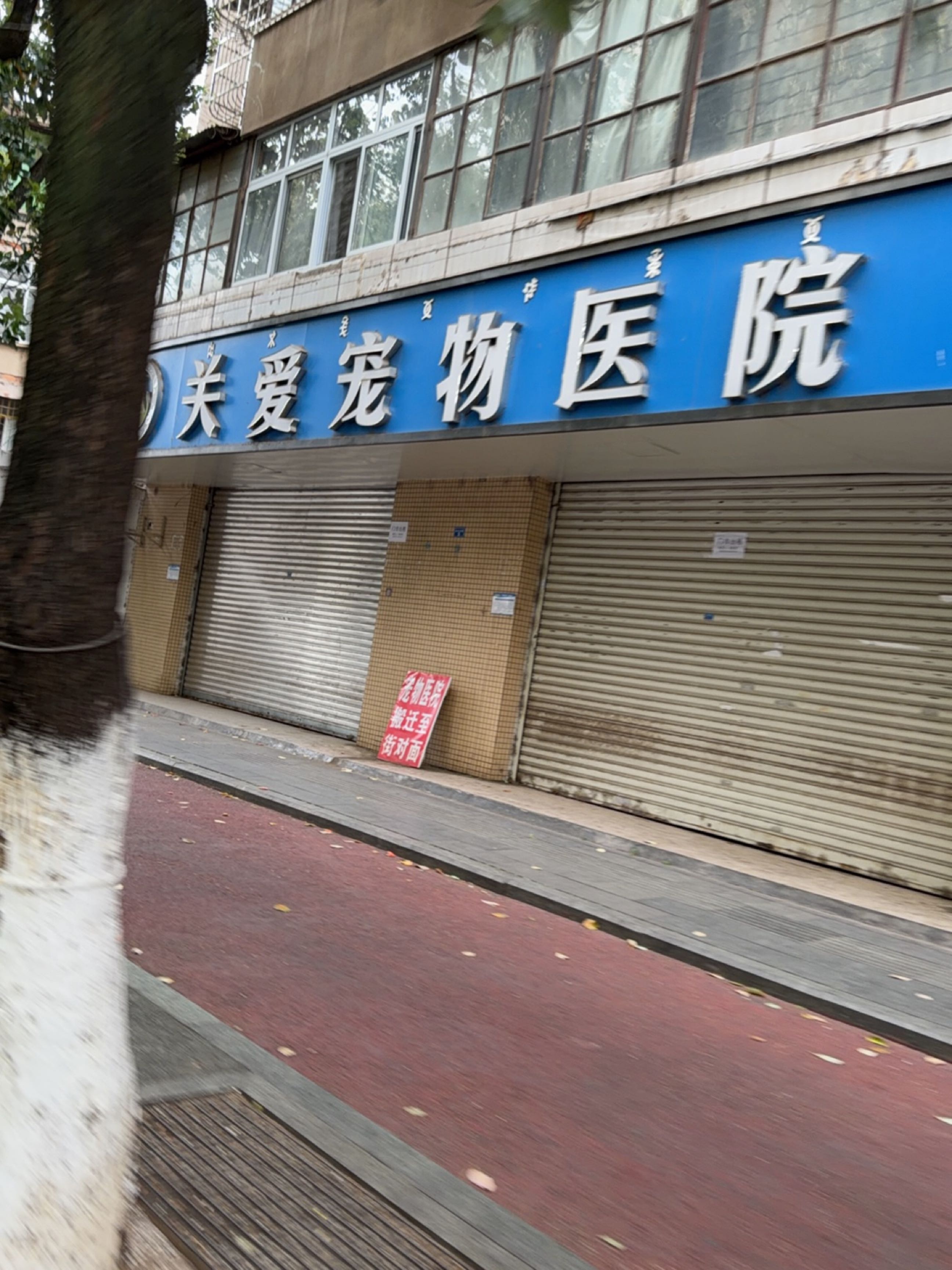 关爱宠物医院
