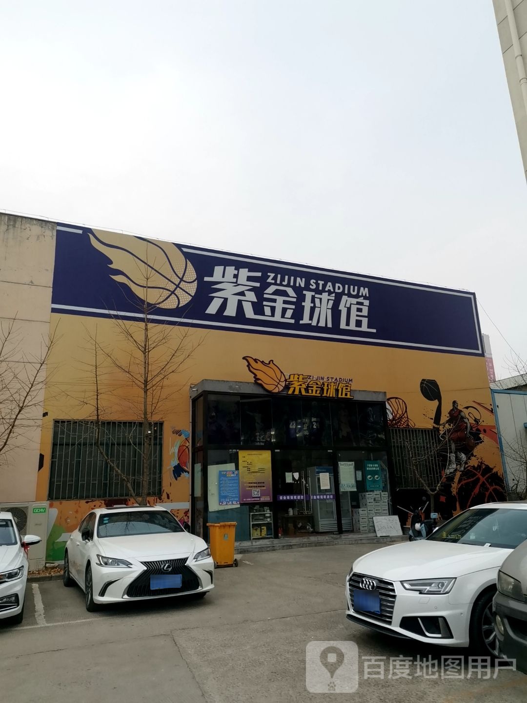 紫金篮球