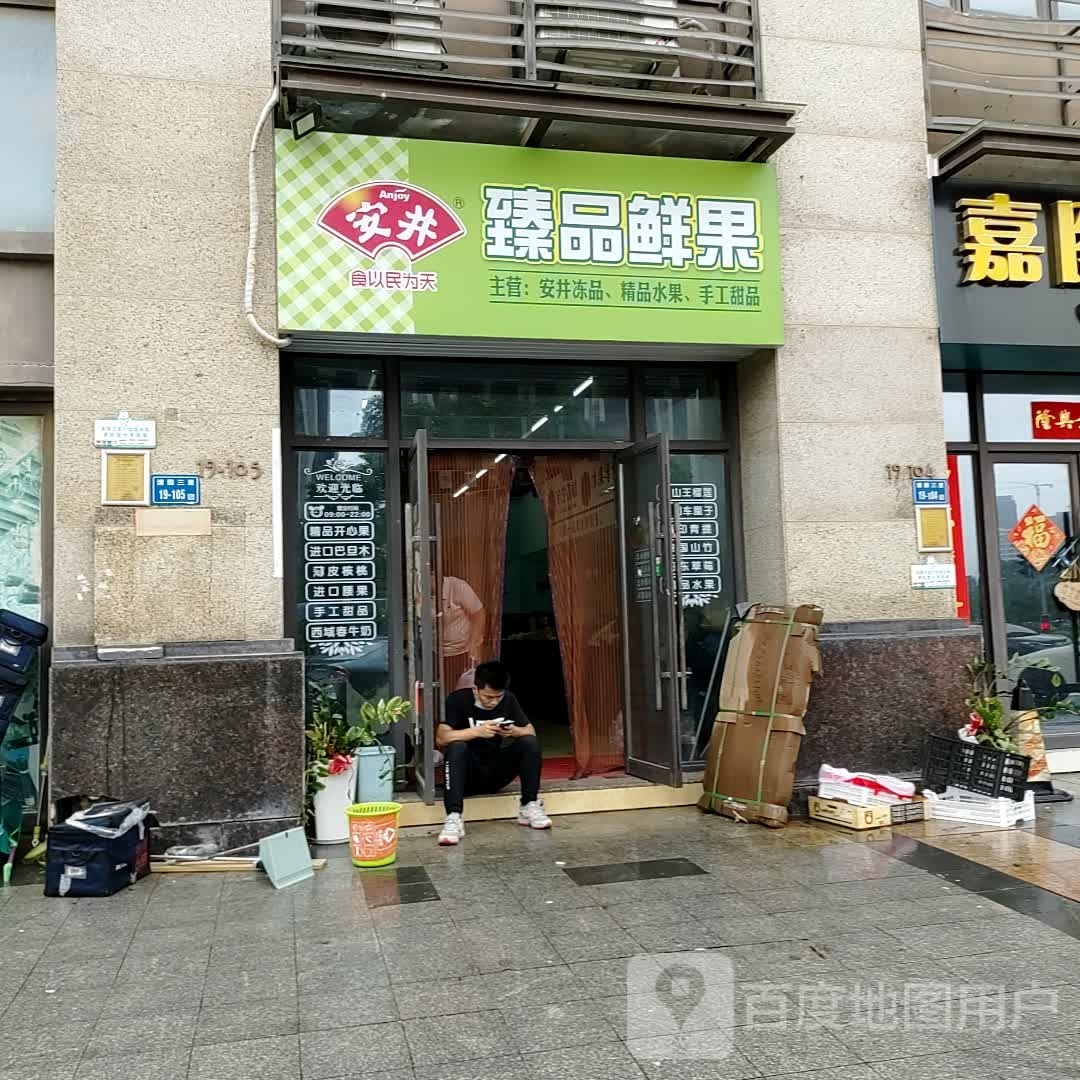 臻品鲜果(南美路店)