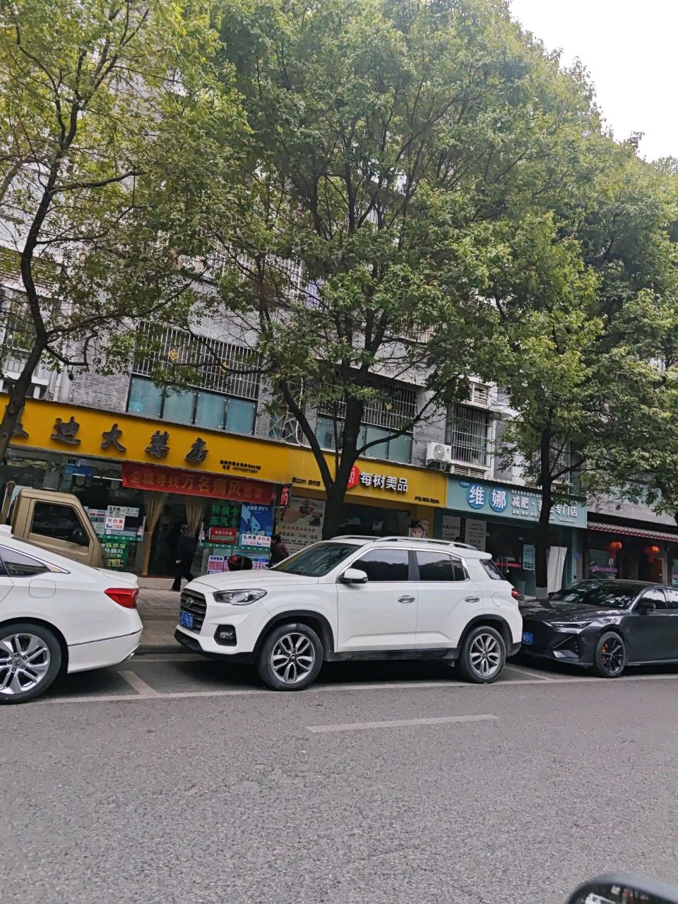 养瘦减肥养生专门店