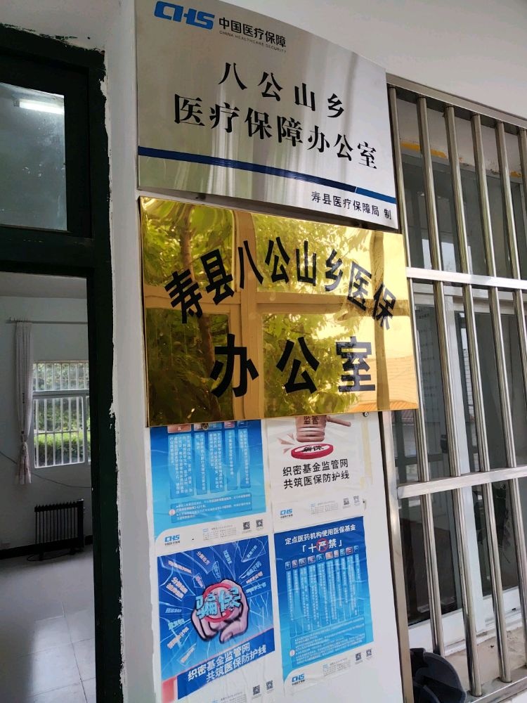 寿县八公山乡医疗保障办公室