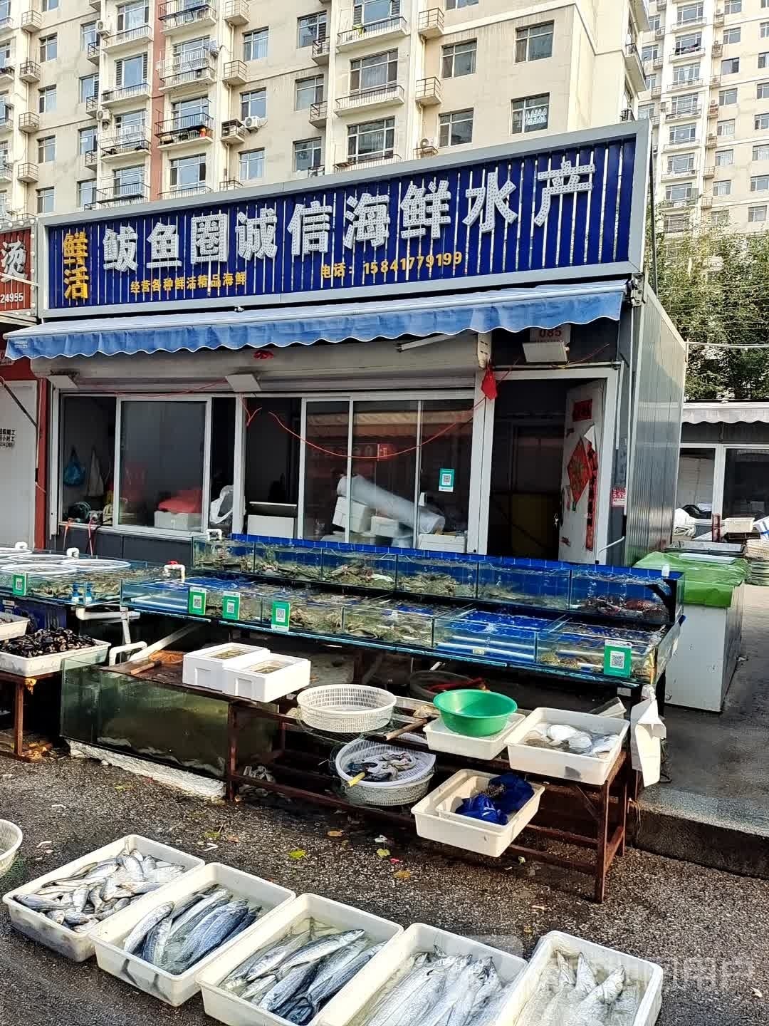 鲅鱼圈诚信海鲜水产