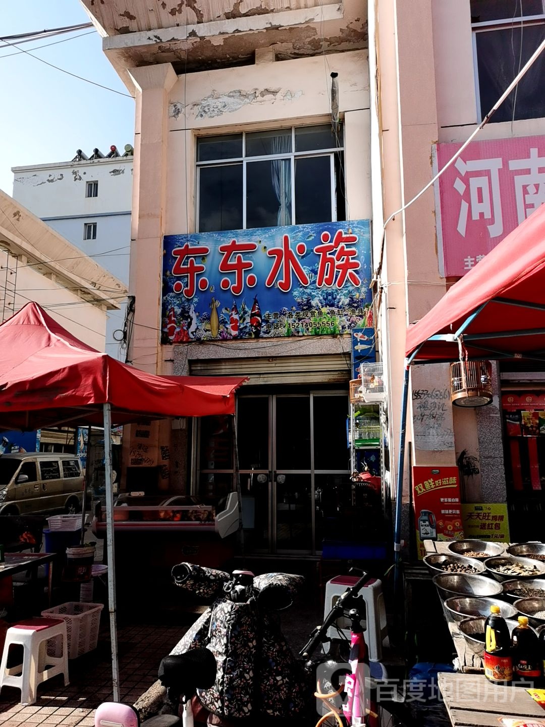 东东水景